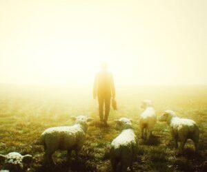 Take a closer walk in a world of uncertainty