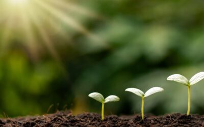 Faith, Hope & Healing