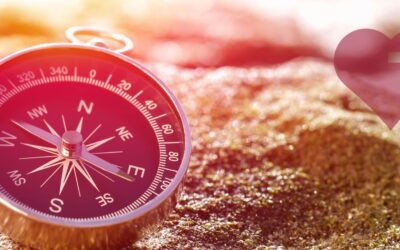 What Are You Looking For?