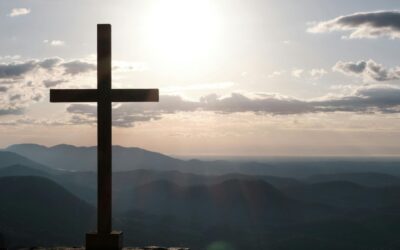 Seek and Ye Shall Find….